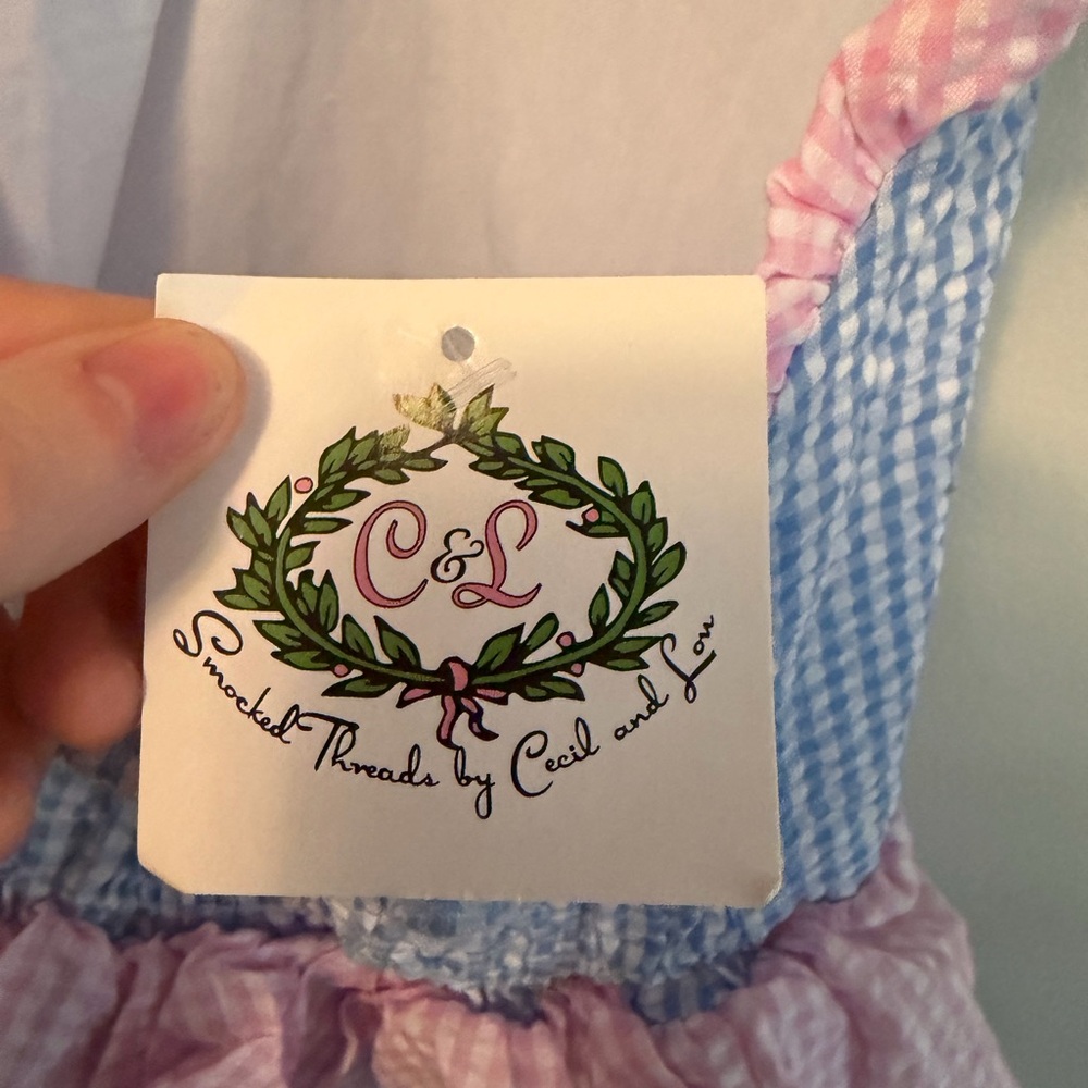 Cecil and Lou Blue and Pink Gingham Ruffle Swimsuit - Picture 3 of 4